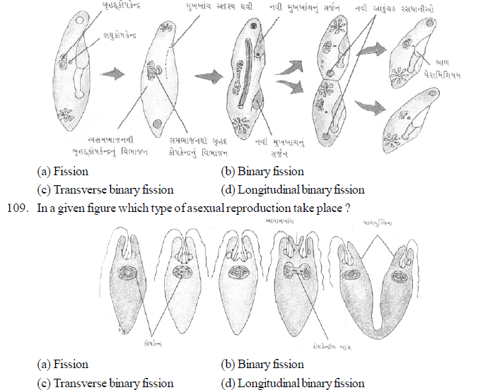 NEET UG Biology Reproduction in Organisms MCQs, Multiple Choice Questions